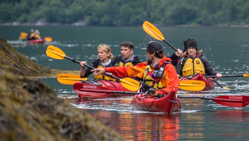 Geiranger: Kayak Tour With Guide - Safety and Requirements