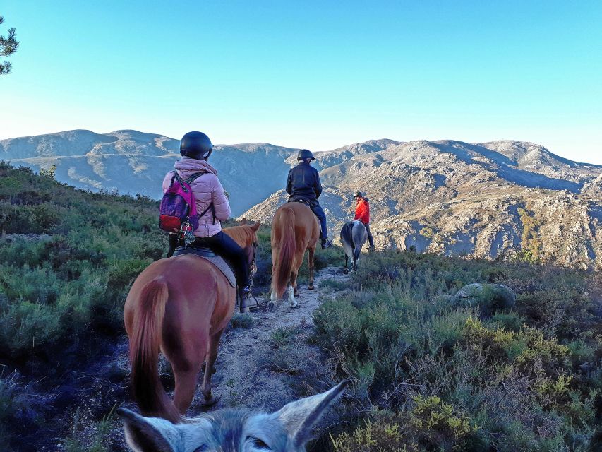 Gerês Braga: Horseback Ride in Peneda Gerês National Park - Included in the Tour