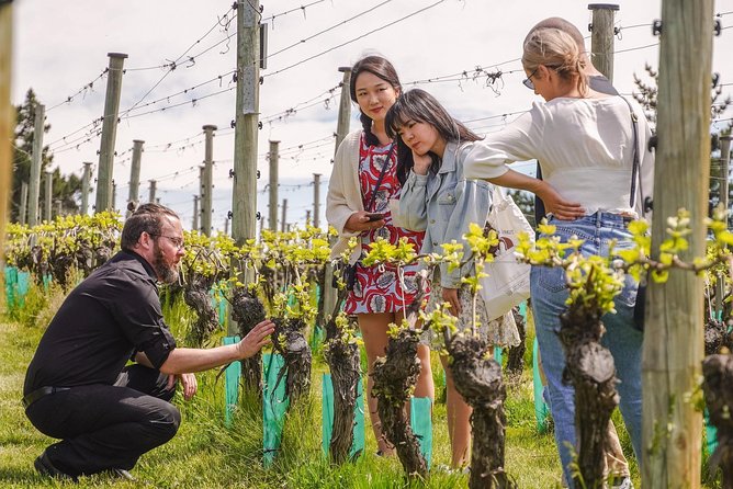 Gibbston Valley Wines - Winery Tour - Experience Highlights