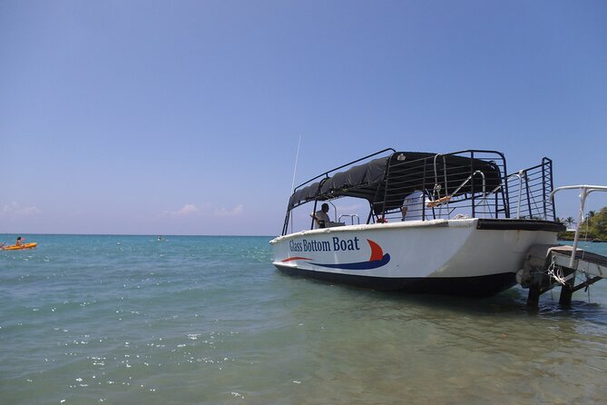 Glass-Bottom Boat Cruise From Waikoloa - Inclusions and Logistics Details