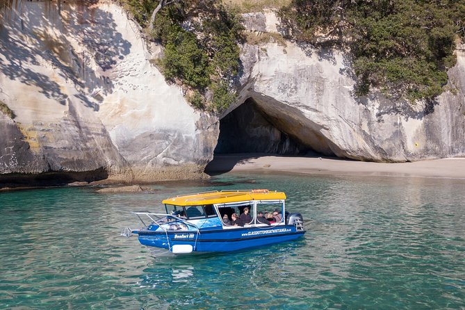 Glass Bottom Boat Whitianga Cathedral Cove Cruise - Meeting Point and Logistics