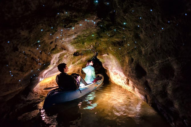 Glow Worm Kayak Tour - Booking Information and Pricing