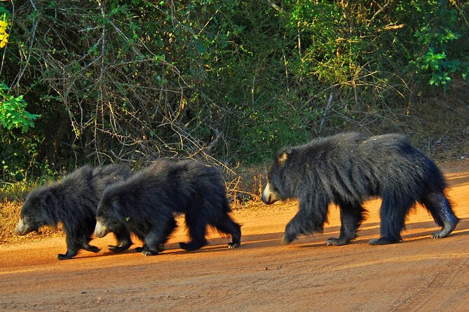 GO WILD! Double Safari Day Trip (Yala & Udawalawe) - Private & All Inclusive - Whats Included in the Package