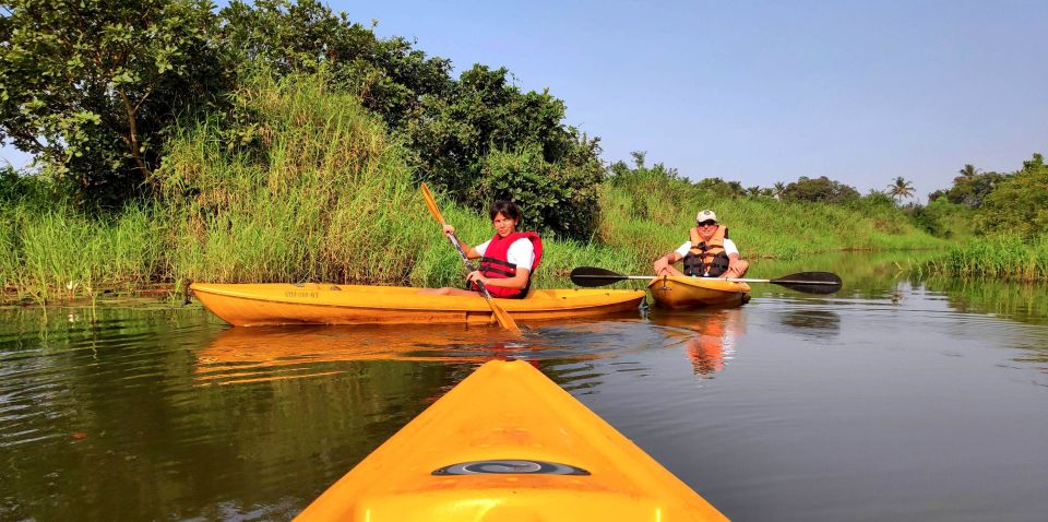 Goa: Backwaters and Mangrove Kayaking Experience - Safety and Equipment