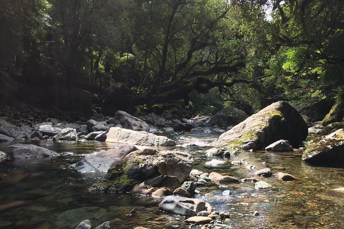 Gold Hunting Adventures - Meeting and Pickup Details