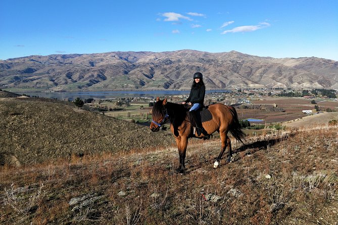 Golden Hills Horse Treks - Pricing and Booking Information