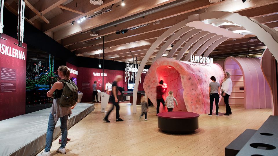 Gothenburg: Universeum Entry Ticket - Accessibility Features