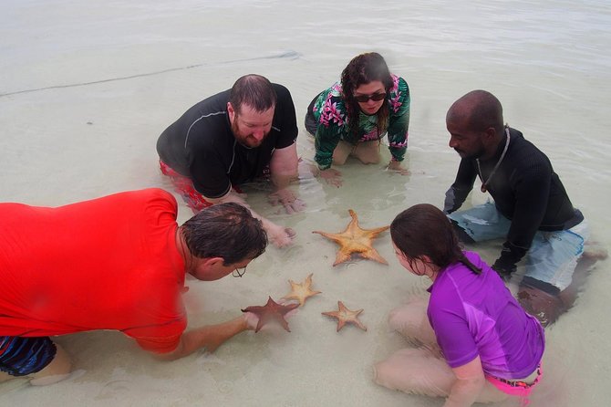 Grand Cayman Cruise: Starfish Point, Stingray City, Coral Garden - Tour Details