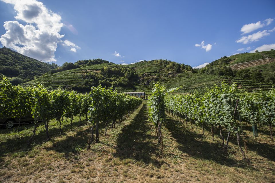 Grape Grazing: Wachau Valley Winery Biking Tour - Highlights of the Tour