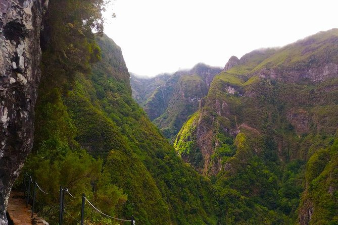 Green Cauldron Levada Walk From Funchal - Requirements for Participants