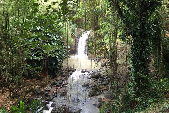 Grenada in a Nutshell- Deluxe Island Tour - Meeting and Pickup Details