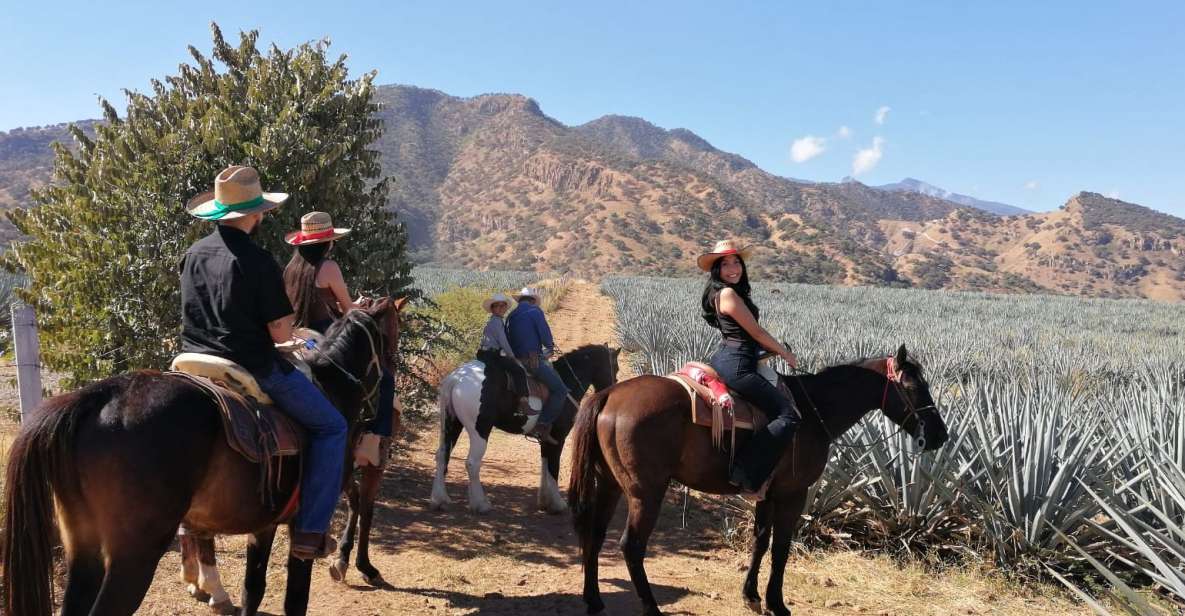 Guadalajara: Horse Riding on the Tequila Route With Tastings - Tequila-Making Process