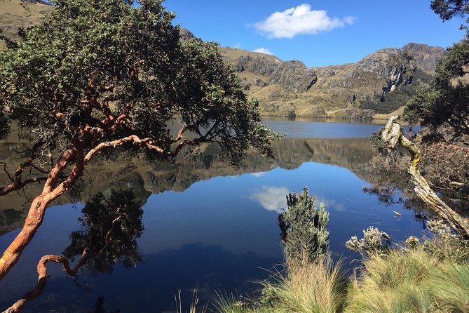 Guayaquil to Cuenca One-Way Tour With Cajas Park and a Cacao Farm Visit - Cacao Farm Visit Details