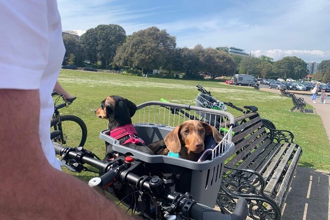 Guided E-Bike Day Trips Dorset - Meeting and Pickup Information