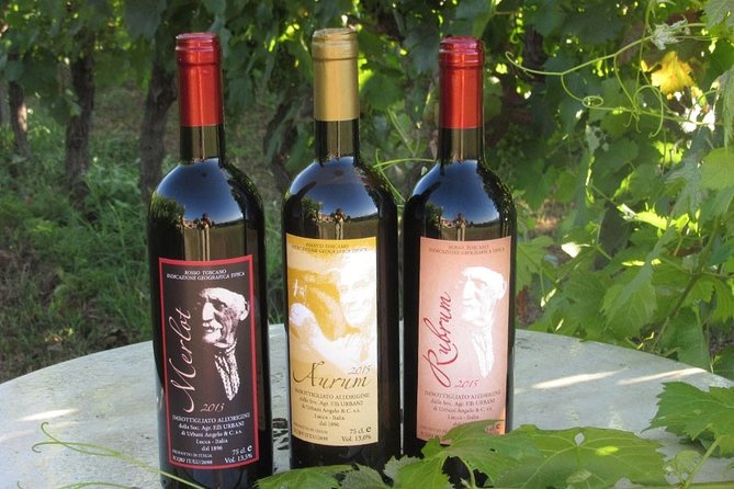 Guided E-Bike Tour With Wine Tasting From Lucca - Confirmation and Accessibility
