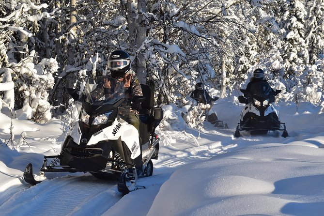 Guided Fairbanks Snowmobile Tour - Important Information