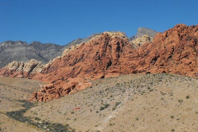Guided Mountain Bike Tour of Mustang Trail in Red Rock Canyon - Customer Feedback