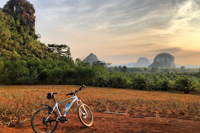 Guided Mountain Biking - Grand Tour - Trails of Ao Nang - Experience the Scenic Trails