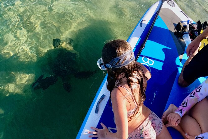 Guided Snorkeling Tour for Non-Swimmers Wailea Beach - Meeting Location and Safety