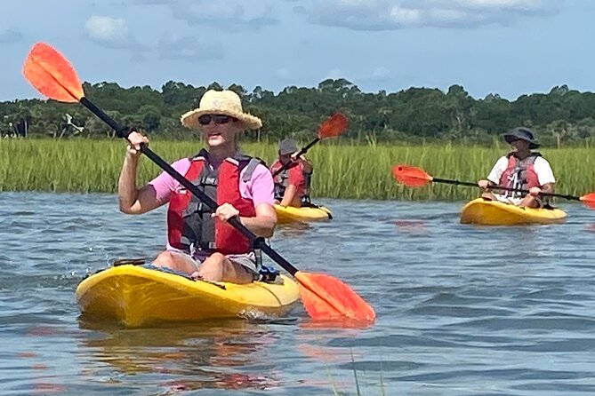 Guided Tour for Dolphin & Sea Turtle Observation in Saint Augustine, Florida - Accessibility and Participation Guidelines