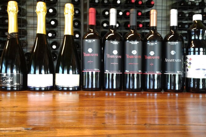 Guided Tour With Wine Tasting at Casa Seganfredo - Gramado - Booking Process and Options
