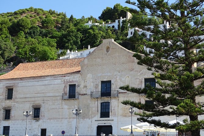 Guided Walking Tour of the Old Town of Frigiliana - Accessibility and Transportation