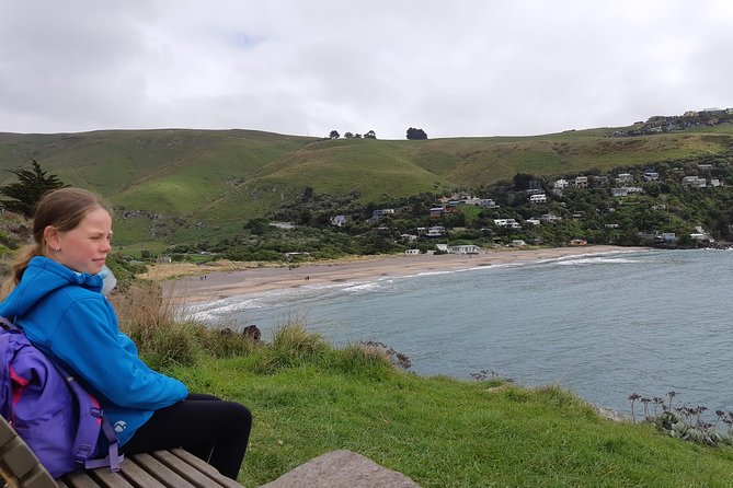 Guided Walking Tour & Scenic Drive Form Christchurch - Lyttelton & Godley Head - Inclusions and Amenities