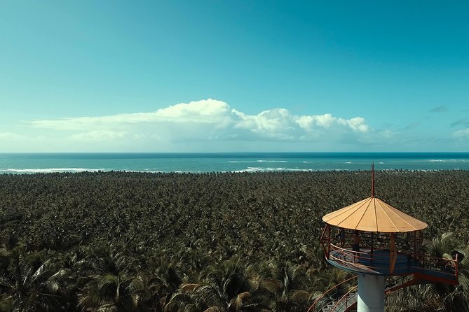 Gunga Beach - Leaving Maceió by WS Receptivo - Optional Activities at Gunga Beach