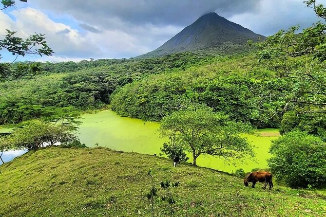 Half Day Adventure From Arenal -2 Tours in 1, 4 Options to Choose - Inclusions and Amenities