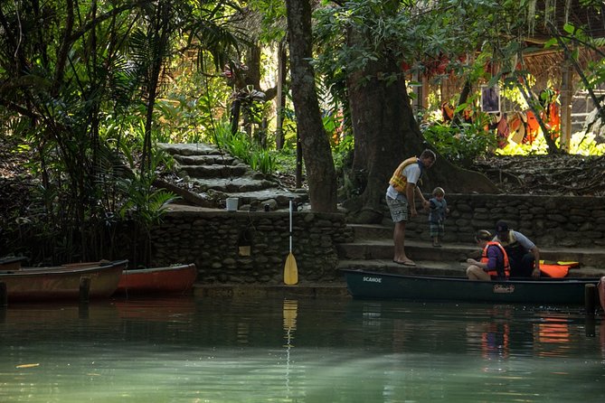 Half-Day Barton Creek Cave With Optional Zipline, Butterfly Farm or Rock Falls - What to Expect During the Tour