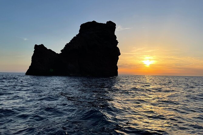 Half Day Boat Trip to Scandola Calanche De Piana - Pricing and Inclusions