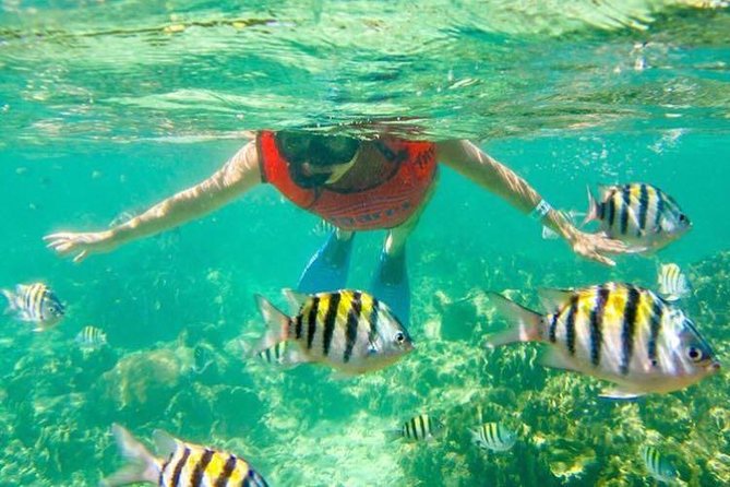 Half Day Catamaran & Snorkeling - Transportation Options Available