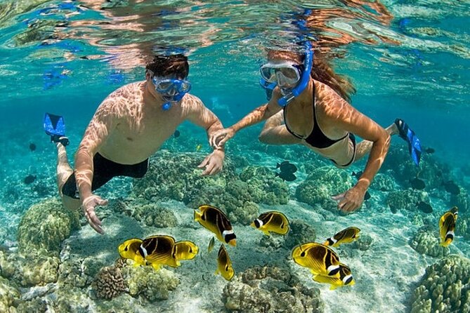 Half Day Catamaran Tour in Punta Cana - Whats Included