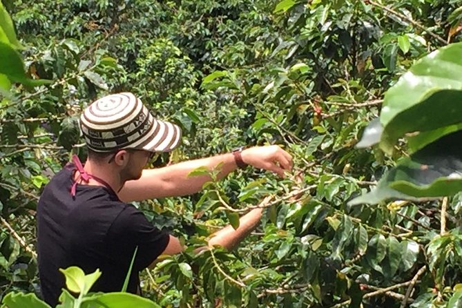 Half-Day Coffee Plantation Tour: Very Educational and Fun - Booking and Cancellation Policies