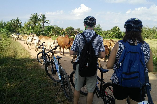 Half Day Cycling Tour to the White Temple - Village Exploration