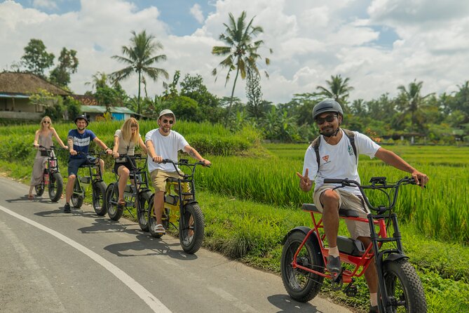 Half-Day Electric Fat Bike Tour of Ubud - Tour Details