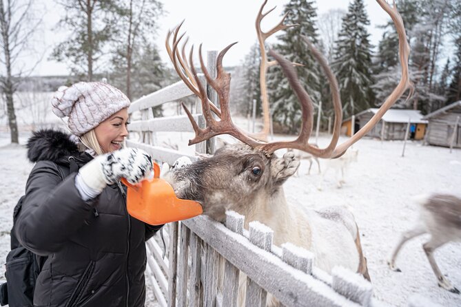 Half-Day Experience in Local Reindeer Farm in Lapland - Pickup and Transportation Details