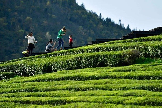 Half-Day Flexible Private Hangzhou Highlight Tour - Excluded Services