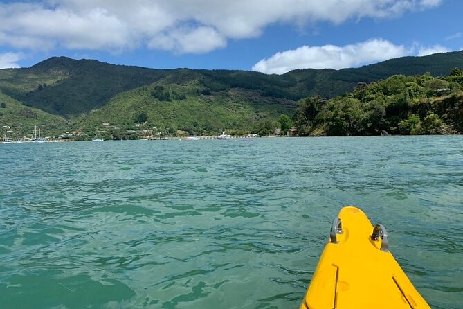 Half-Day Guided Sea Kayaking Tour From Anakiwa - Transportation Options