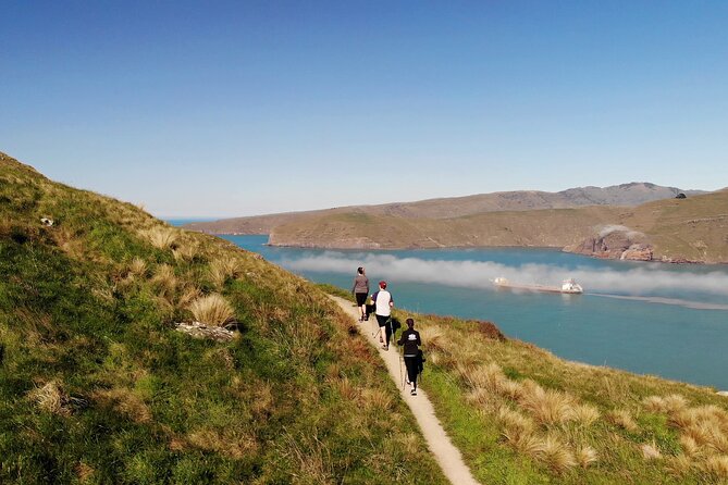 Half Day Guided Walking Tour on Banks Peninsula - Pricing Details