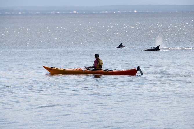 Half-Day Jervis Bay Sea Kayak Tour - Included Equipment