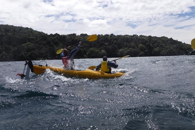 Half-Day Kayak to the Maori Rock Carvings in Lake Taupo - Whats Included