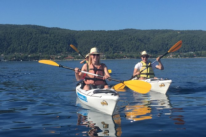Half Day Kayak Trip - Meeting and Pickup