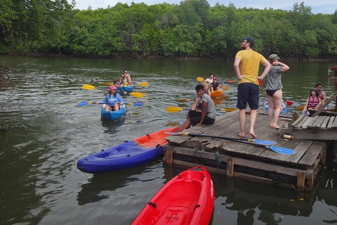 Half Day Mangrove by Kayaking or Longtail Boat From Koh Lanta - Exploring the Mangrove Forest