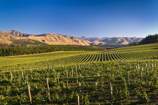 Half-Day Marlborough Wine Tour & Beer Tour - Inclusions and Costs
