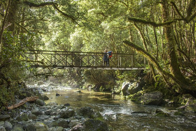 Half-Day Milford Track Guided Hiking Tour - Preparation and Safety