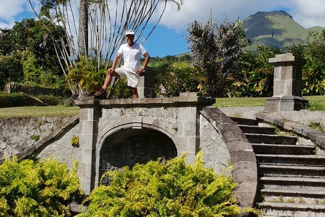 Half-Day Nature and Panorama Tour in Martinique - Accessibility Information