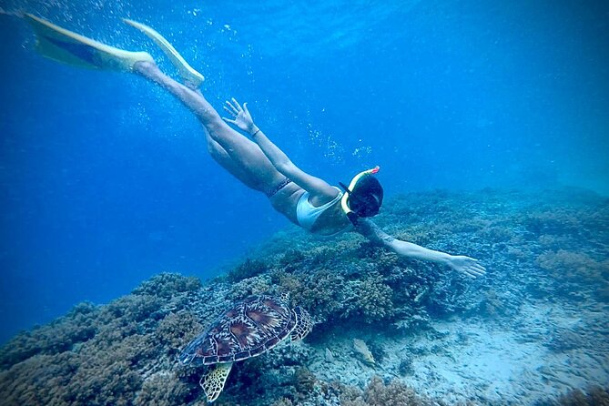Half-Day Private Guided Snorkeling Turtles Underwater Statues - Exploring Gili Trawangan