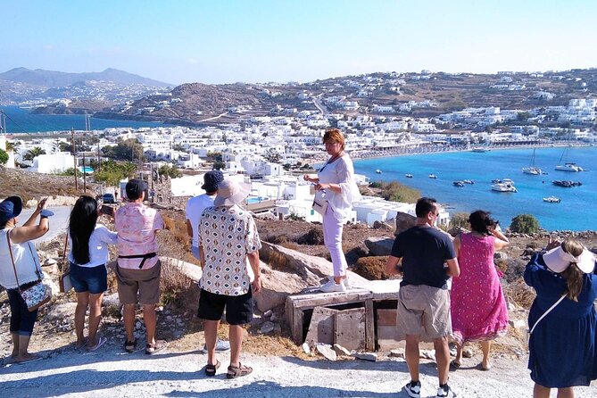 Half-Day Private Guided Tour in Mykonos up to 6 - Tour Activities and Locations