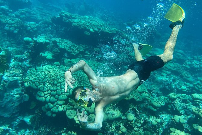 Half Day Private Snorkeling Experience in Aruba BYOFD - Pricing Information